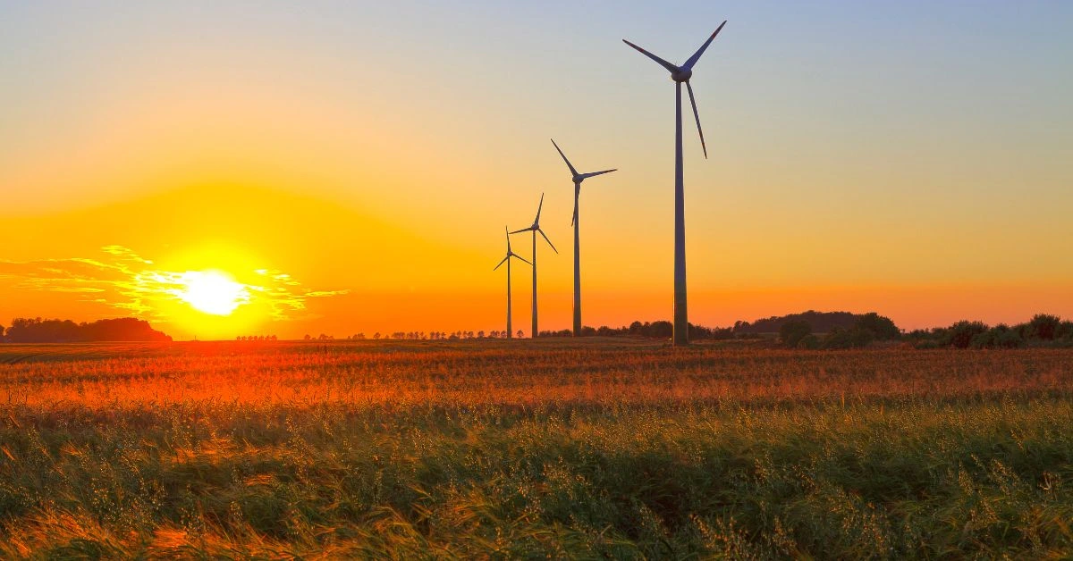 Tsitsikamma Wind Farm Trust Bursary 2026